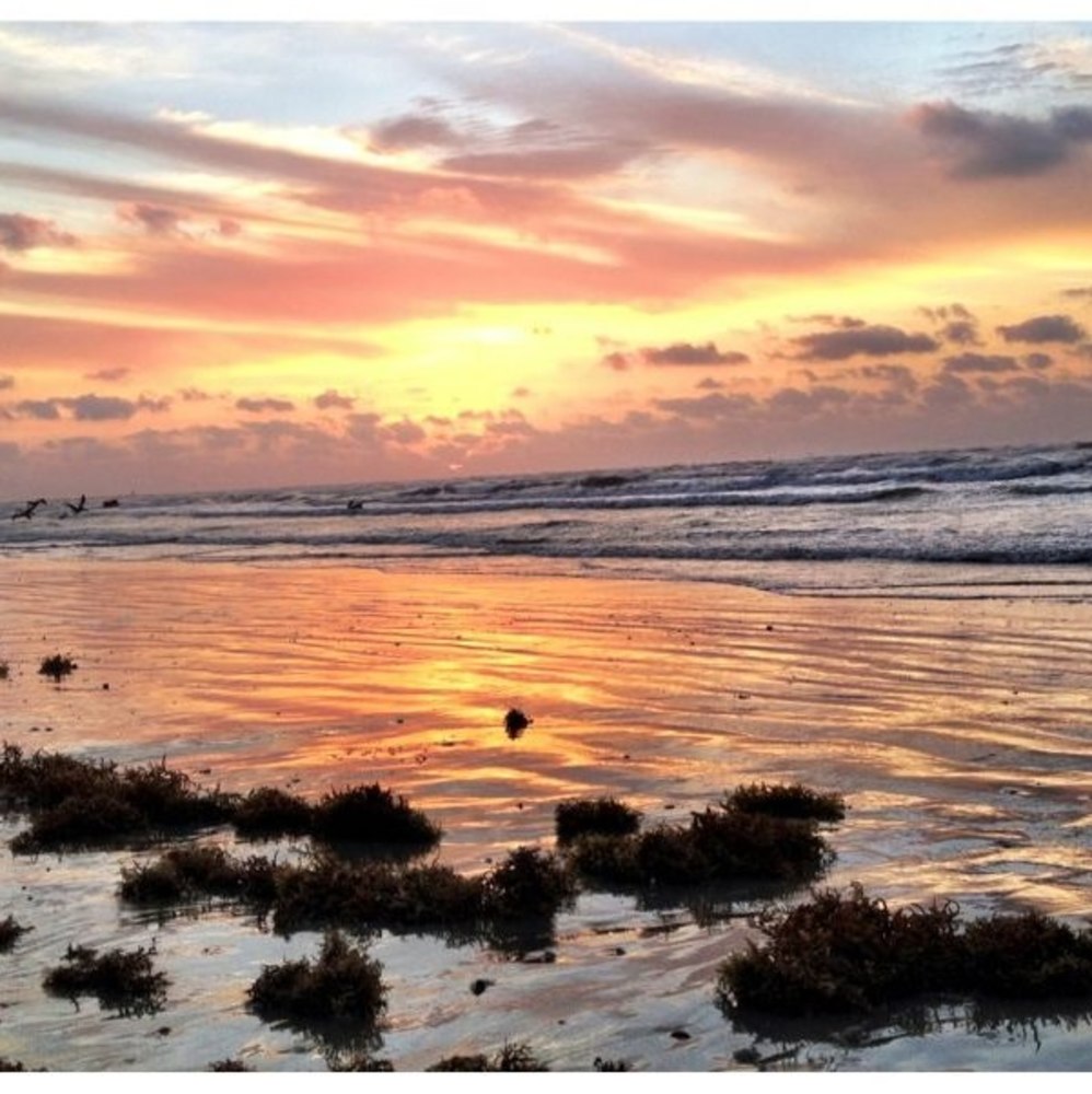 Meet your Posher, Rosana